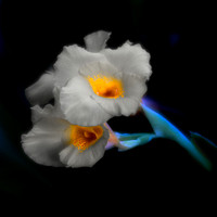 _MG_5612
