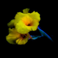 _MG_5612-2
