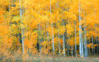 _69A0913