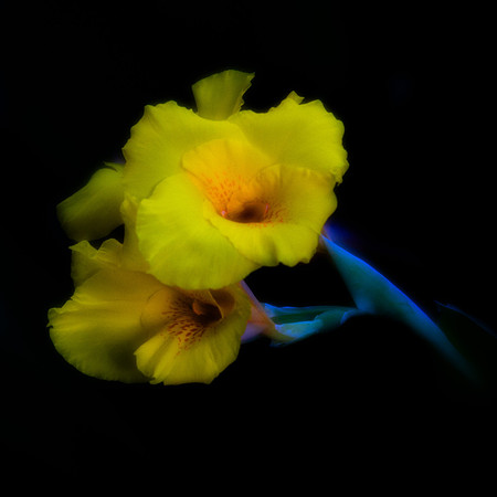 _MG_5612-2