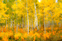 _69A0851-Edit