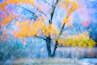 _69A2070-Edit-2