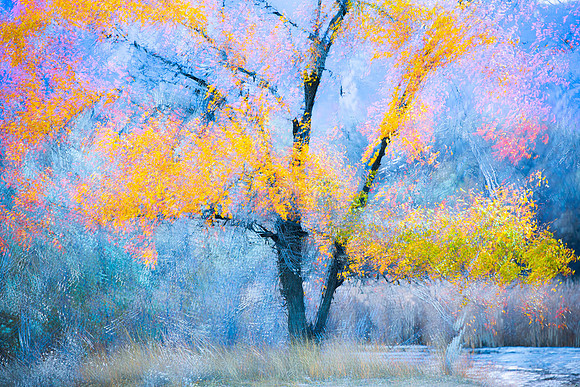 _69A2070-Edit-2