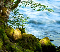 _MG_5657-Edit