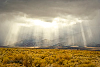 Landscapes