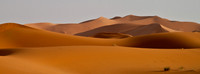 _MG_3755